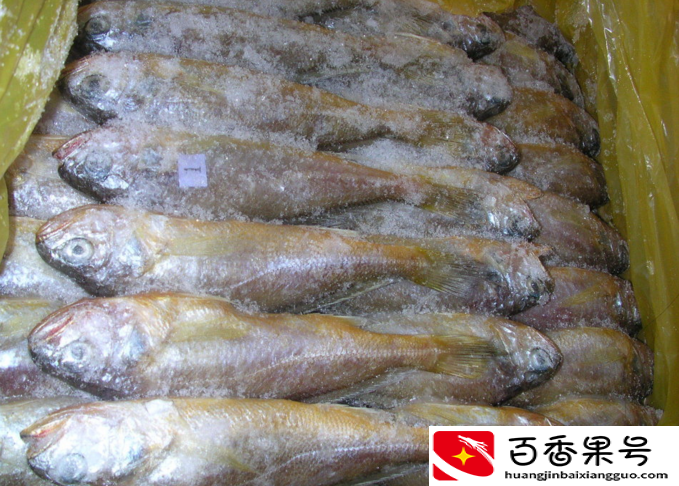 农村子女多的最大好处，看到这些，你就明白了！