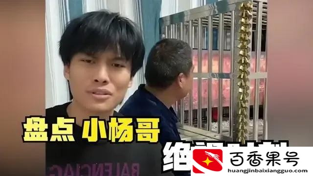 网红小杨哥到底赚了多少钱？