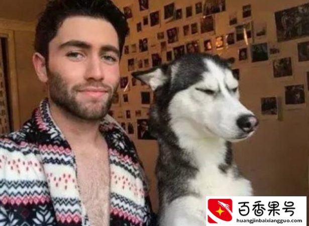 最适合新手养的8种狗，你最想养哪种？
