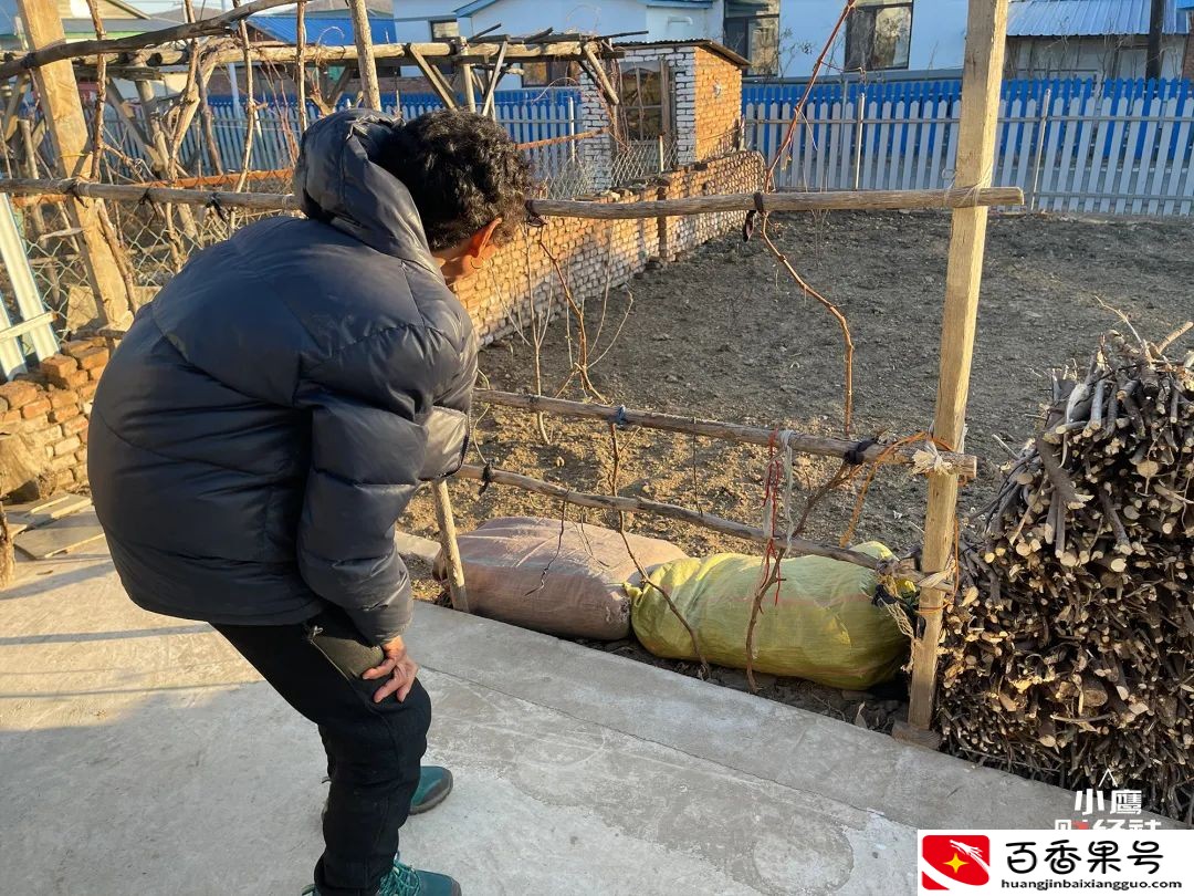 延吉：东北“异类”的边境小城