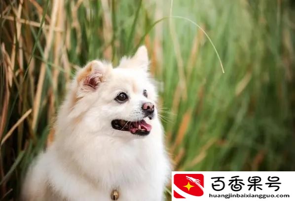负债累累，无力偿还信用卡和网贷，怎么办？