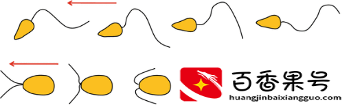 海带：不是植物，也不是动物 我可能只是一碟凉菜
