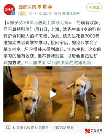 花了7000元训犬？回家3天就被咬