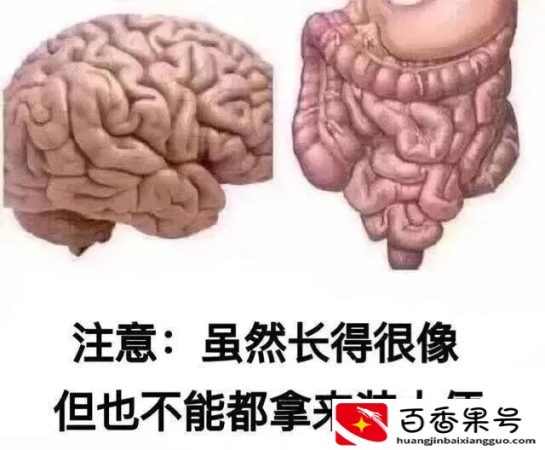 什么行业最赚钱投资小