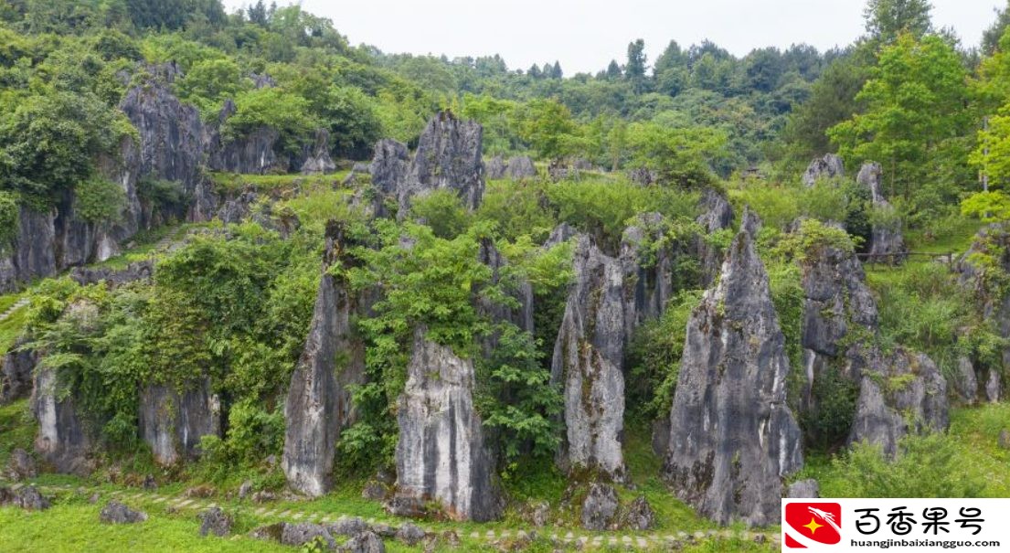来昆明旅游，这五个地方不会没去过吧