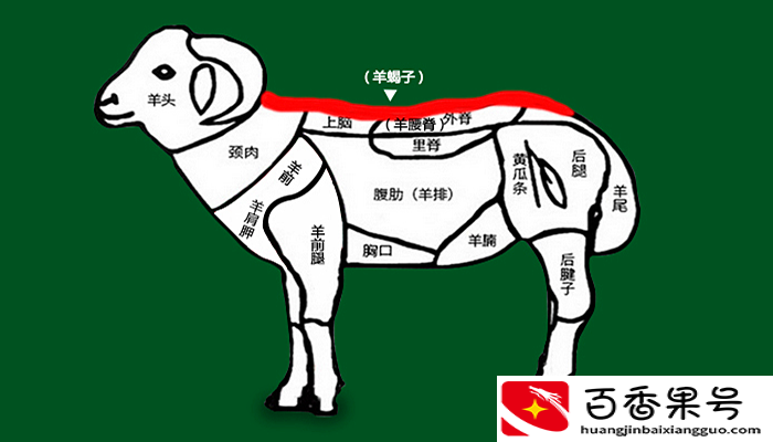 羊蝎子到底是什么，为啥叫羊蝎子，味道好吃吗？涨知识了