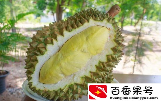 世界上最好吃的4种榴莲，“猫山王”都落榜了，你们吃过几种呢？