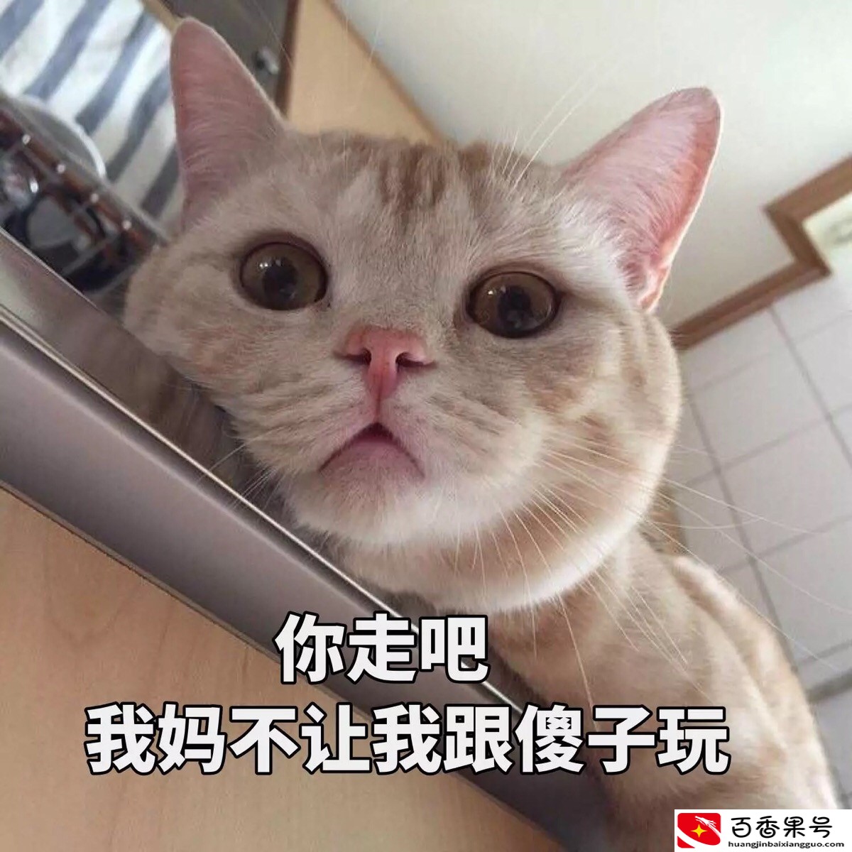 情侣间如何正确存钱