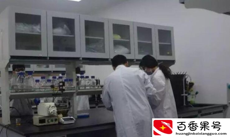 培养一名“研究生”要花多少钱？算完费用后，好多学生后悔没考研