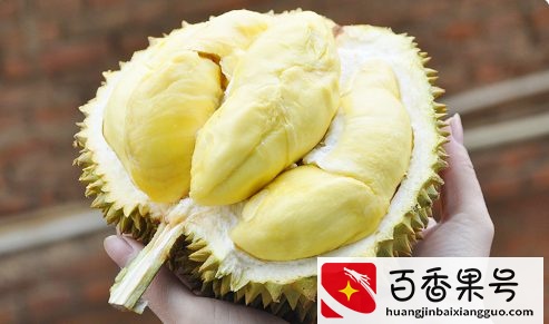 干尧榴莲没熟开了怎样能让它熟 催熟方法很简单