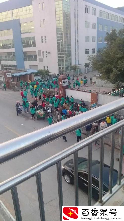 山茶油70元以上，为何现在采茶籽的人少了？山茶油还能坚持多久？