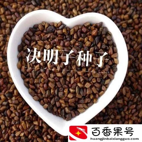 别再苦苦找药材种植项目了，这几种常见药材前景好，种植简单