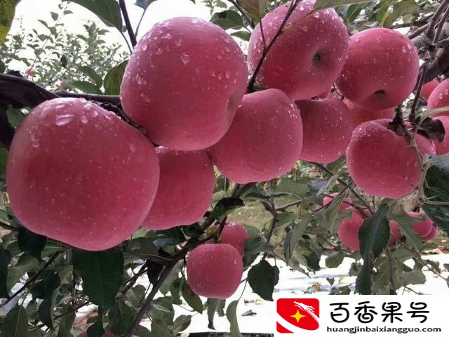 基金能跌到什么程度