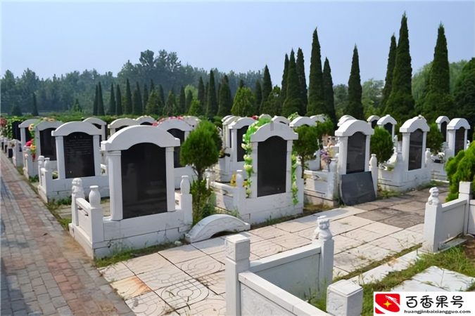 公墓只能使用20年，如果子孙不续费，会有啥后果？
