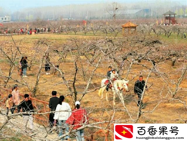 养马的利润与成本前景
