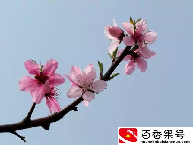 民间常用的八个转运聚财办法，试过的都说准！