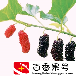 含硒的水果有哪些