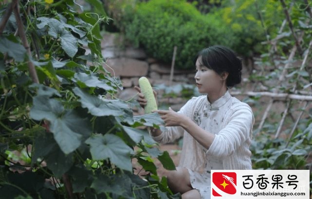 网曝李子柒报警原因，资本大佬要求其割韭菜，拒绝后被暗中下套