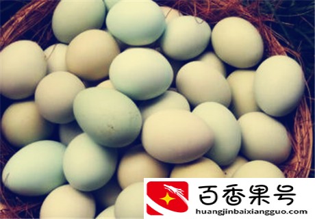 正宗土鸡蛋多少钱一个 有哪些营养价值