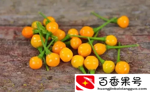 这是世界上最贵的辣椒！每公斤23万，想买还买不到
