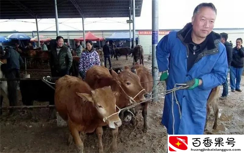 现在农村干啥能赚钱快，三个不起眼却很暴利的小生意