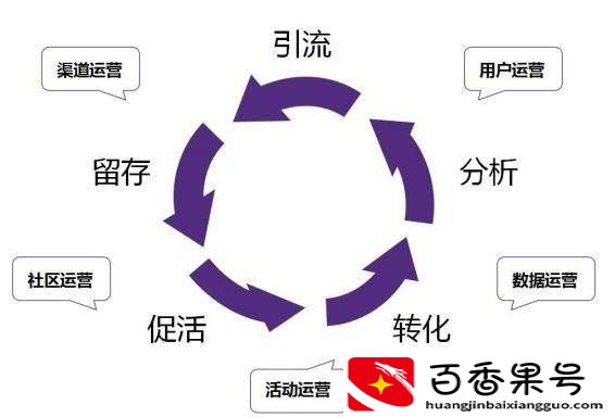 新手运营从哪开始学