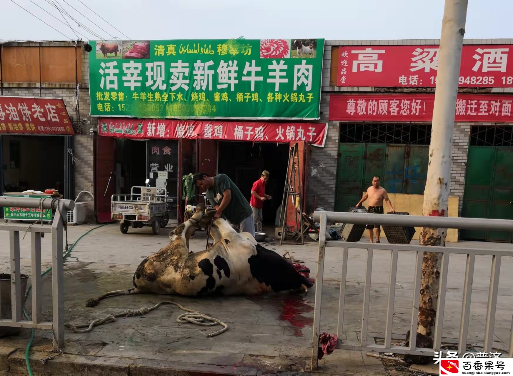 网购牛腱子肉20元一斤便宜吗？知道了拼接和调理后，还买就算你狠