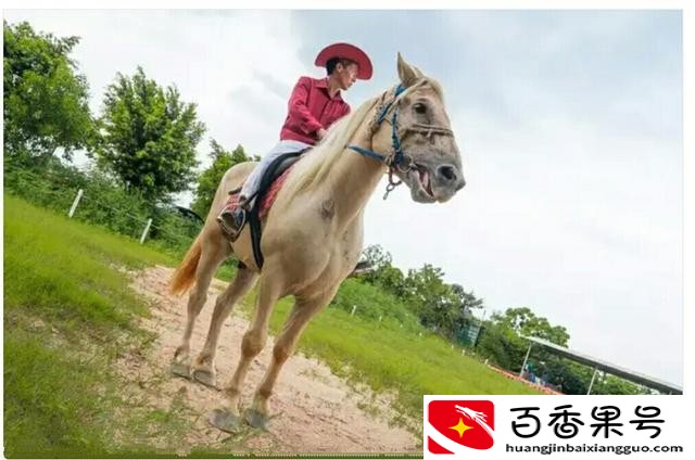 养马的利润与成本前景