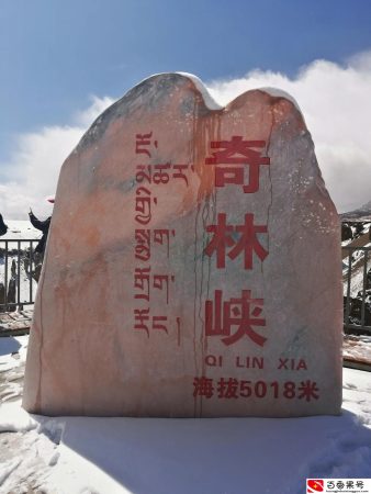 一个人去西藏的费用