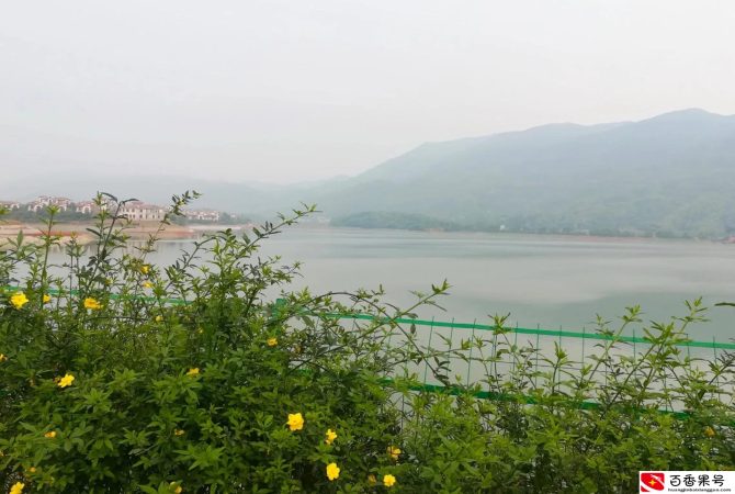 回乡建房后不久，她就后悔了