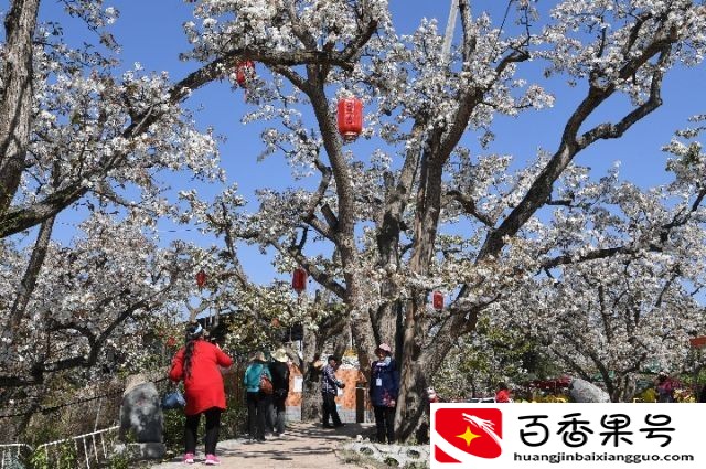 兰州10大约会、接吻圣地大揭秘