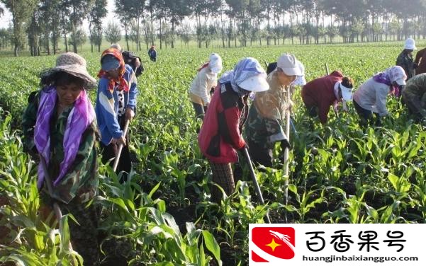 现在农民有哪些补贴