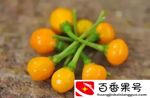 这是世界上最贵的辣椒！每公斤23万，想买还买不到