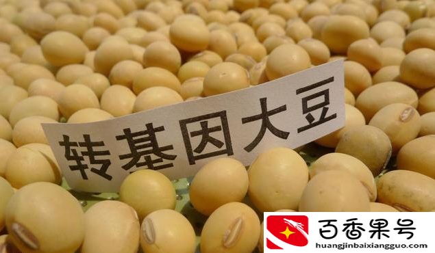 转基因食用油能吃吗？