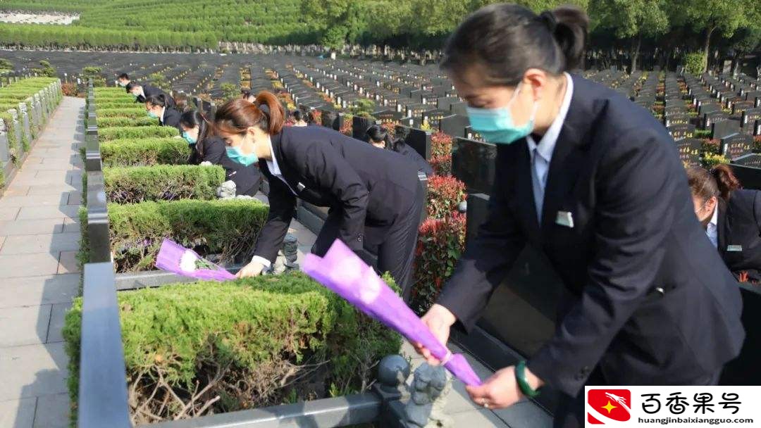 公墓只能使用20年，如果子孙不续费，会有啥后果？
