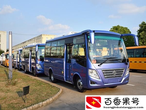 b1驾驶证能开什么车型