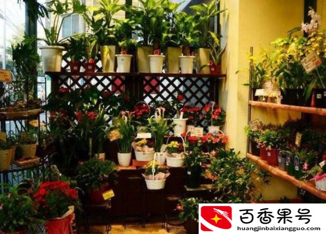 开花店一般要投资多少钱?