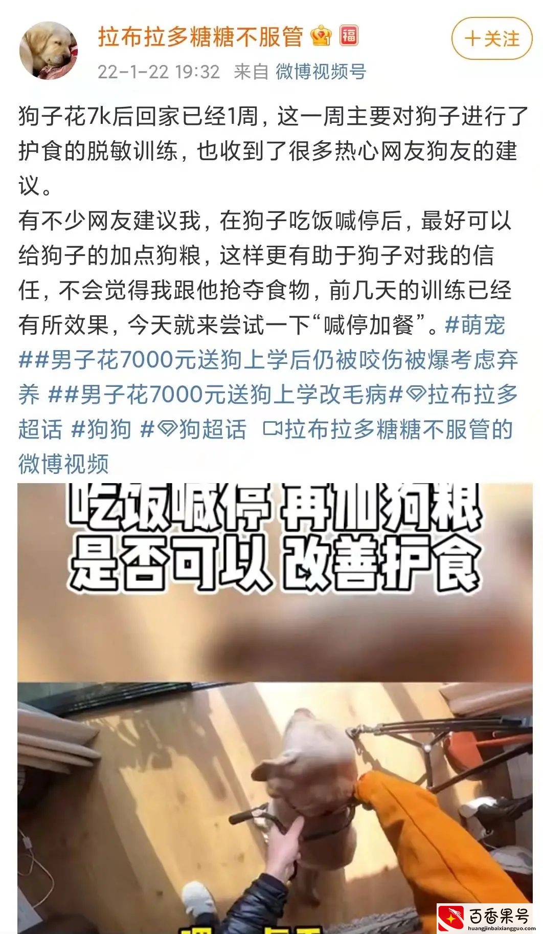 花了7000元训犬？回家3天就被咬