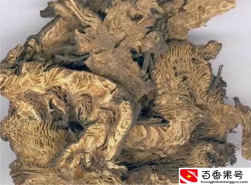 哪些药材紧缺？种植这些品种准没错，建议收藏