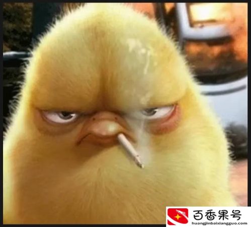 鸡肋的A3驾照