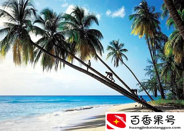 去三亚旅游一次，一星期能够花多少钱，不要被数额吓到