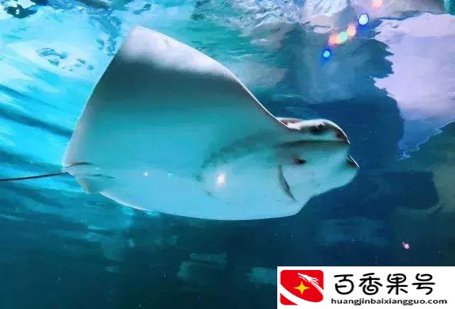 人类探索了大海多少 ? 为什么海洋探索很重要