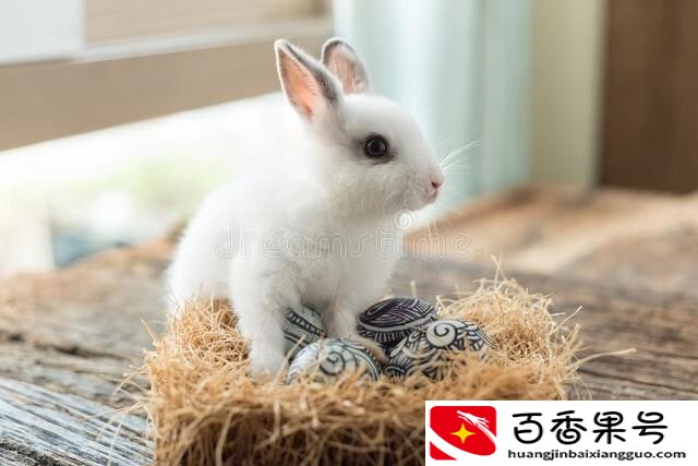嫁给哪个生肖男最享福
