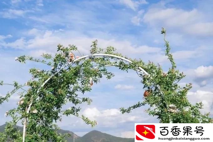 云南旅游最佳路线 去云南旅游要多少钱