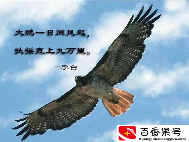 都不愿意生孩子，为什么高考人数年年都增加