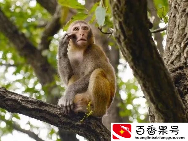 连云港旅游攻略——花果山篇