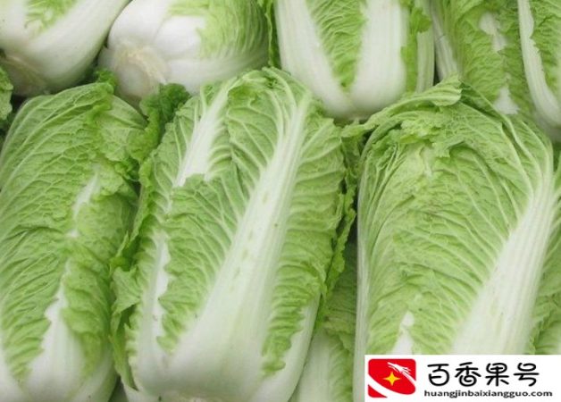白菜保存这么简单，记住“3要点2个情况”，放一冬也新鲜，不烂心