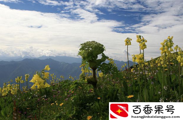距离成都最近的地级市，也是世界最大的铸锻钢制造基地