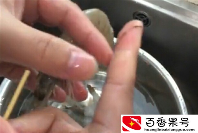 你还在吃龙虾吗？龙虾全身寄生虫，如果你想吃，此方法可以解决