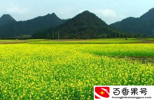 上林县有什么旅游景点